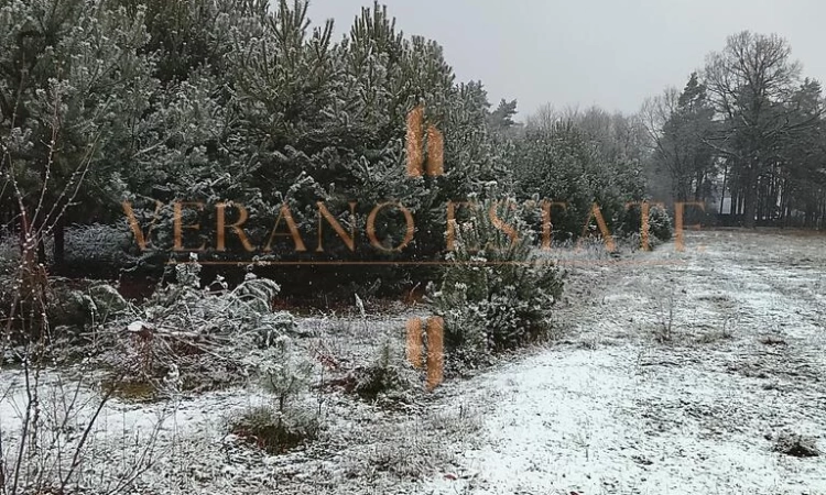 Atrakcyjna działka budowlana 3600 m² - Groszowice | Zdjęcie główne