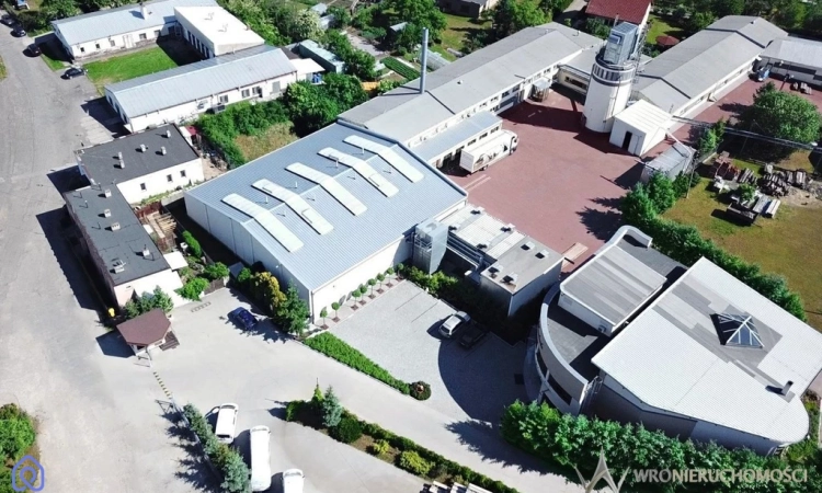 Oferta sprzedaży przedsiębiorstwa - branża drzewna | Zdjęcie główne