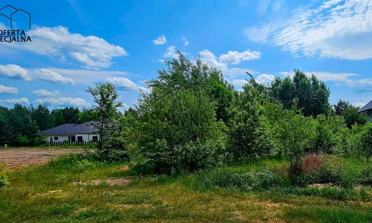 Działka, Zielona Góra | Zdjęcie główne