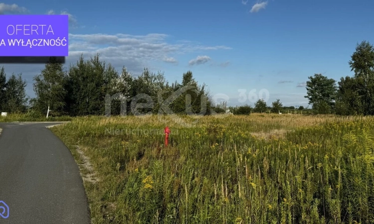 Odkryj Magię Podkowy Leśnej–Perła Nadolic Wielkich | Zdjęcie główne