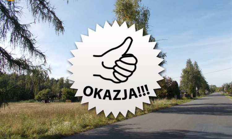 działka budowlano - rolna | Zdjęcie główne