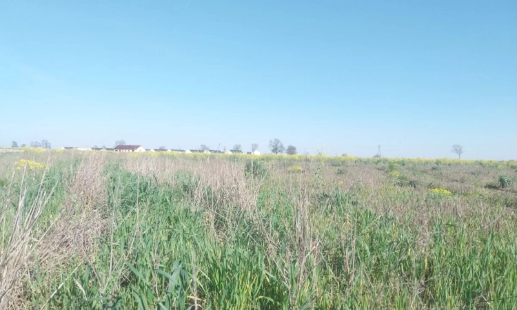 ⭐Tuż obok Kostrzyna⭐Nowe zabudowania w okolicy⭐Bli | Zdjęcie główne