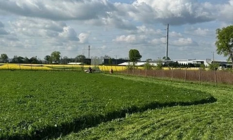 Działka budowlana (3000 m2) MEDIA (Żórawina) | Zdjęcie główne