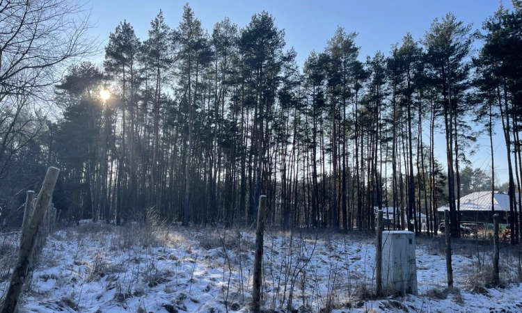 Działka róg Wolęcińskiej/Marty, Warszawa Radość | Zdjęcie główne