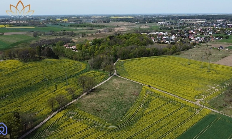 duża działka w Nowych Bielicach | Zdjęcie główne