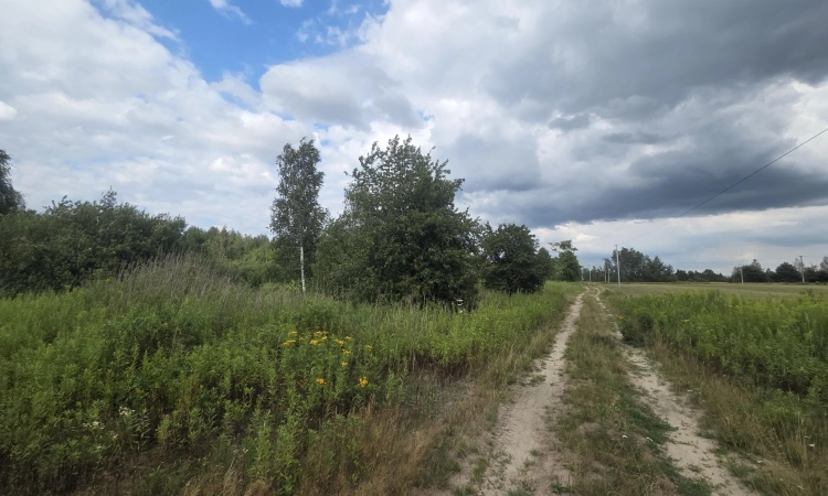 WZ- 22 domy, 44 lokale, media, lokalizacja | Zdjęcie główne