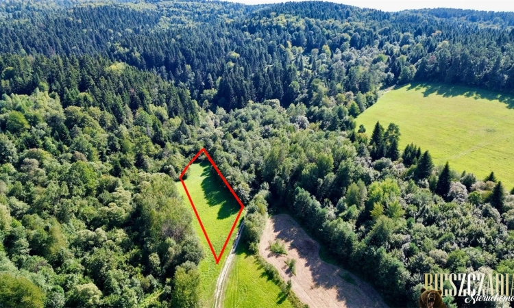 Urokliwa działka w Bieszczadach - Hoczew | Zdjęcie główne