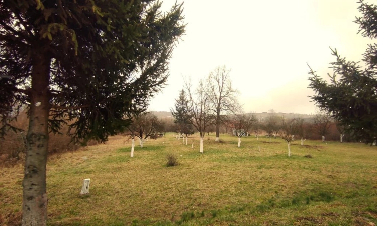 Podraszkowie działka budowlana | Zdjęcie główne