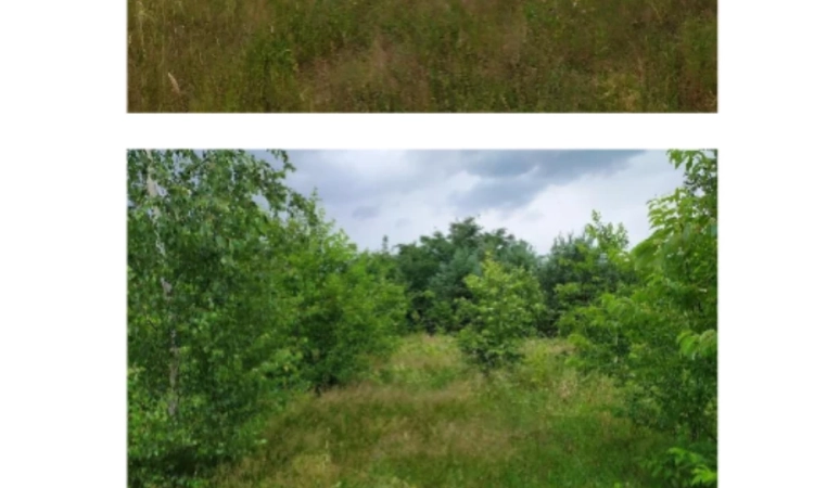 Udział 1/2 w nieruchomości gruntowej niezabudowanej Dębowa Góra | Zdjęcie główne