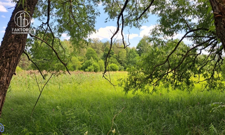 Duża działka idealna pod inwestycję | Zdjęcie główne