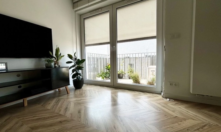 3pok, 54met, Nowe Żerniki BALKON/WINDA/2018 (Wrocław) | Zdjęcie główne