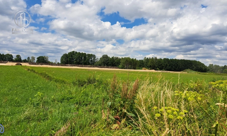 Działki w Dobrzyniewie! | Zdjęcie główne