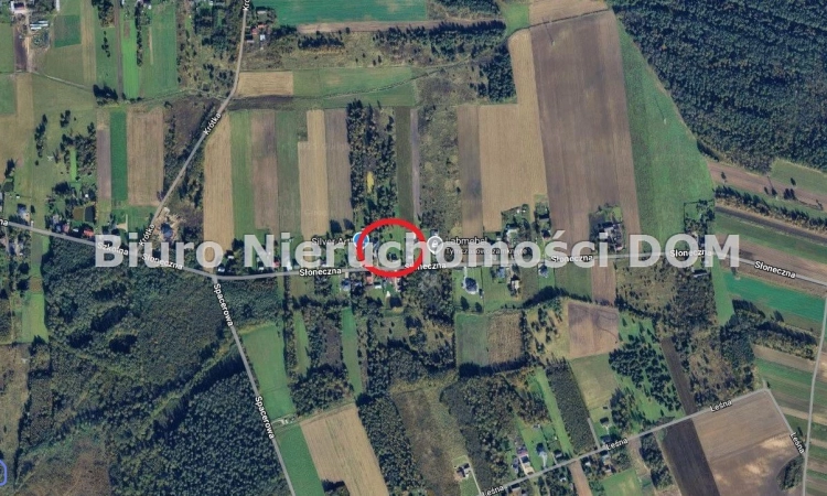 Działka, Cegielnia | Zdjęcie główne