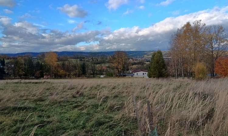 Sprzedam: Działka budowlana 13ar, Szczytna | Zdjęcie główne