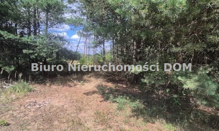 działka budowlana Lgota, gm Kłobuck | Zdjęcie główne