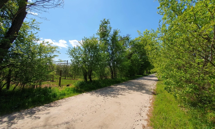 5 do wyboru na Klonowej, wymarzona lokalizacja | Zdjęcie główne