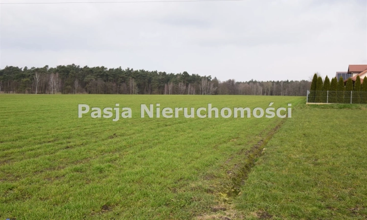 Działka w Brwilnie | Zdjęcie główne