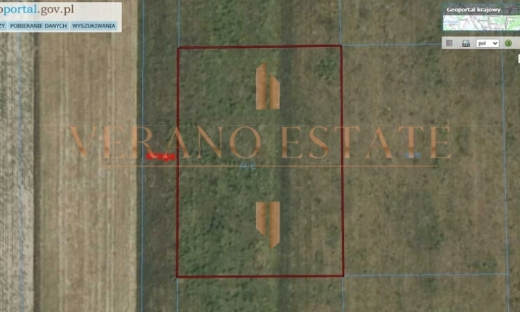 Działka rolna | 3000 m2 | cena do negocjacji | Zdjęcie główne