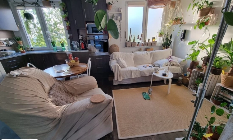 3pok, 52met, okolice Łużyckiej LOGGIA/PIWNICA/WINDA (Wrocław) | Zdjęcie główne