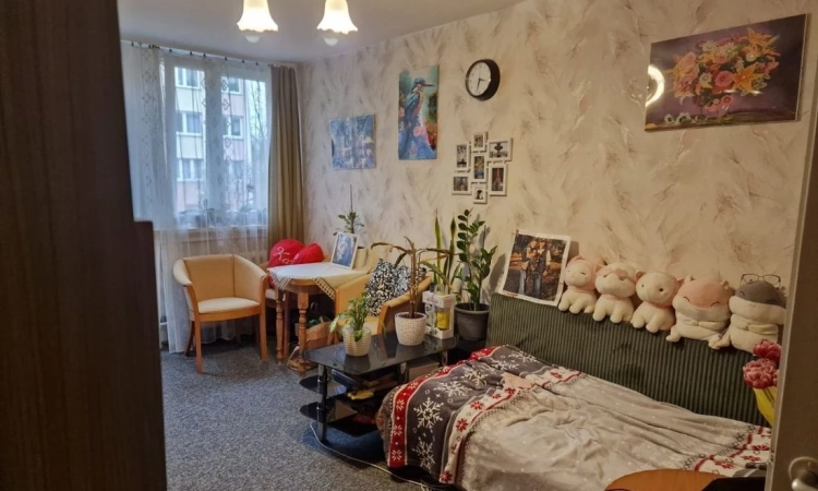 2pok, 39met, okolice Ślężnej PEŁEN ROZKŁAD/PIWNICA (Wrocław) | Zdjęcie główne