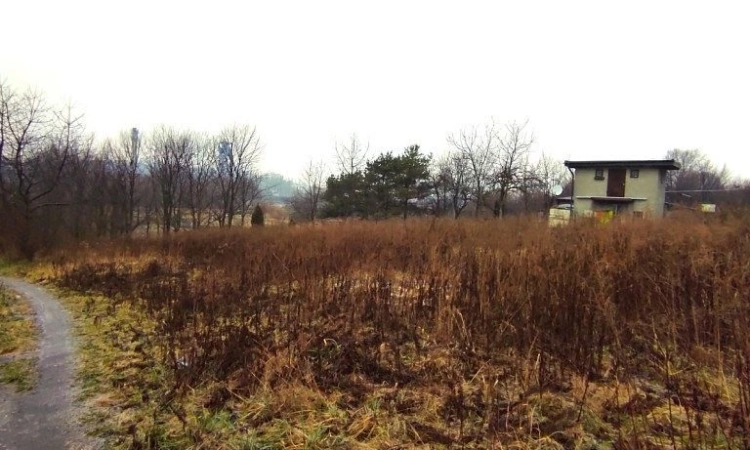 Duża działka Bobrowniki | Zdjęcie główne