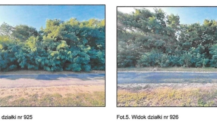 Syndyk sprzeda udziały 1/2 w prawie użytkowania wieczystego Pęczniew | Zdjęcie główne