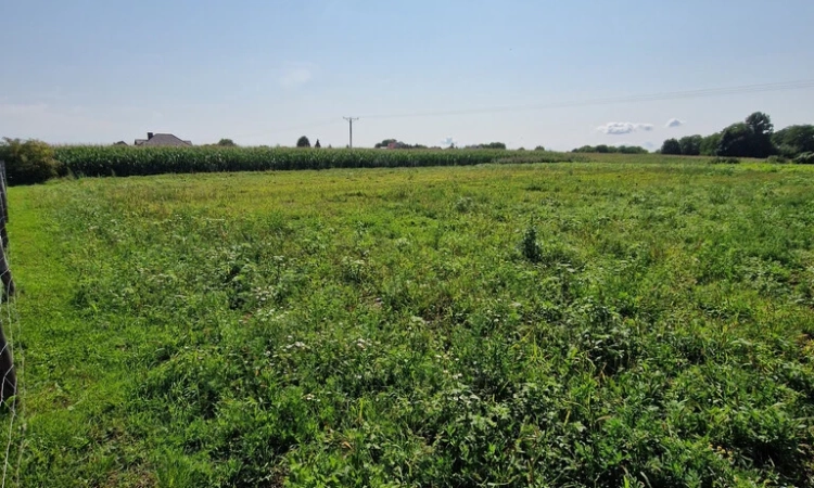 Działka z wz-tką Hebdów 18,8ara Nowe Brzesko | Zdjęcie główne