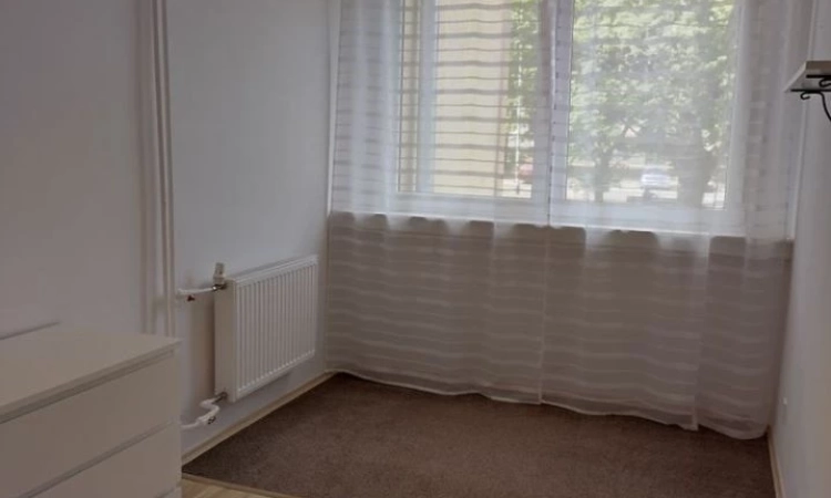 2pok, 35met, okolice Bacciarellego PIWNICA (Wrocław) | Zdjęcie główne