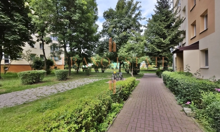 Najtańsze | 3 pok. | widna kuchnia | przy WKD | Zdjęcie główne