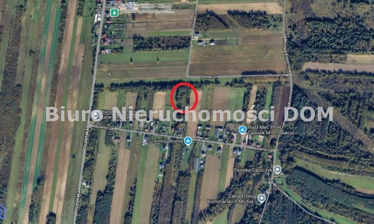 Działka, Gąszczyk | Zdjęcie główne