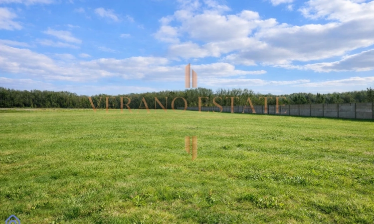 3000 m² spokoju w sercu Łagiewnik ! | Zdjęcie główne