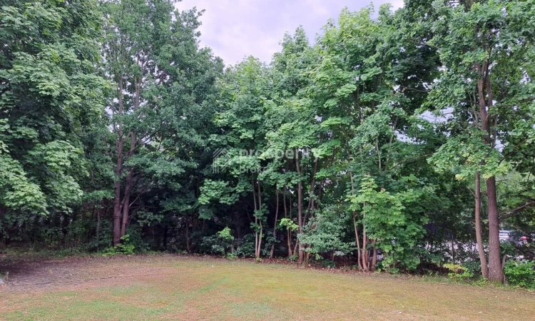 Działka inwestycyjna 4800 m2 z domem BEZ PROWIZJI | Zdjęcie główne