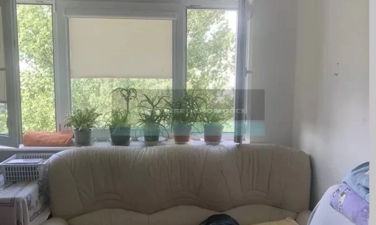 1 pok. 20.00 m2 Warszawa | Zdjęcie główne