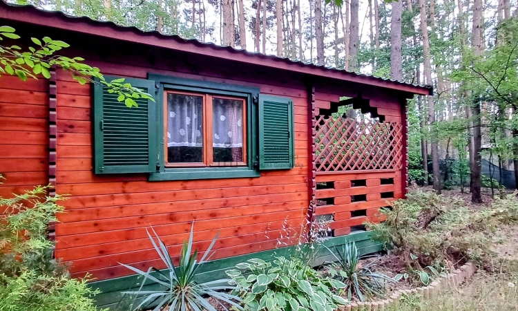 Działka dla Ciebie i Twojej rodziny dom/rekreacja Włodzimierz | Zdjęcie główne