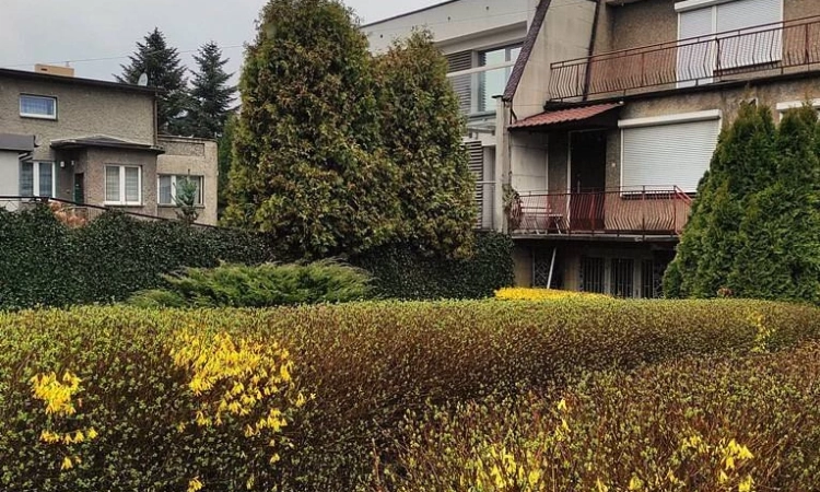 Dom idealny dla dwóch rodzin | Zdjęcie główne