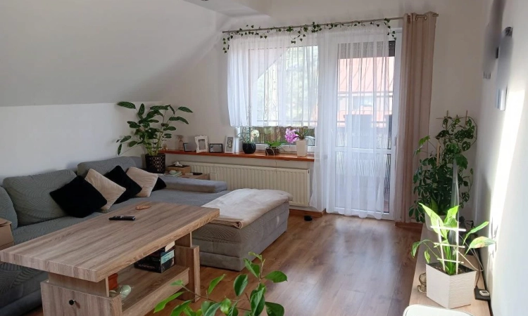 Wyjątkowy dom z potencjałem Opole winów 370m | Zdjęcie główne