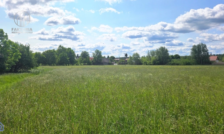 Działka w rejonie Puszczy Knyszyńskiej,  Krynki | Zdjęcie główne