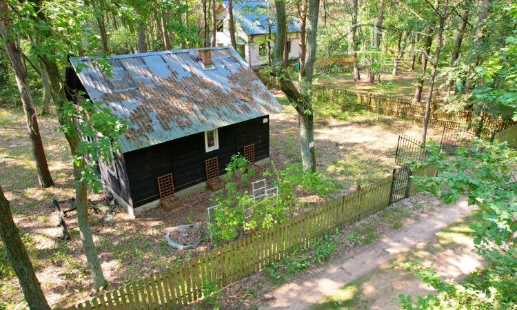 Działka rekreacyjna w okazyjnej cenie | Zdjęcie główne