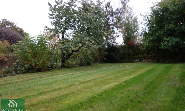 Majdan Krasieniński | Zdjęcie główne