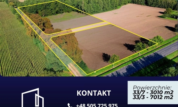 Duża działka budowlana z własnym lasem – 7012 m² | Zdjęcie główne