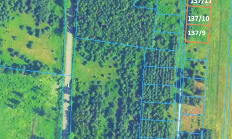 25 km od Kielc, uzbrojona, w otoczeniu lasów | Zdjęcie główne