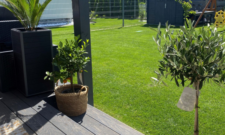 Skrajny segment – gotowy dom 121m, Polkowice | Zdjęcie główne