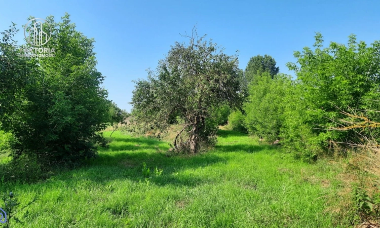Duża działka budowlana w Boguszewie | Zdjęcie główne