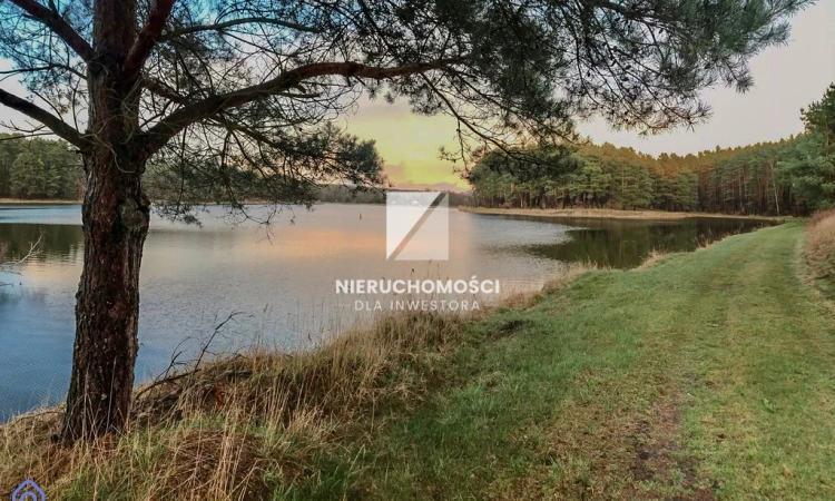 Działka Budowlana 4000 m2 z Rozpoczętą Budową Domu | Zdjęcie główne