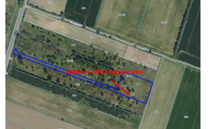 Udział 1/2 w nieruchomości gruntowej niezabudowanej Dębowa Góra | Zdjęcie główne