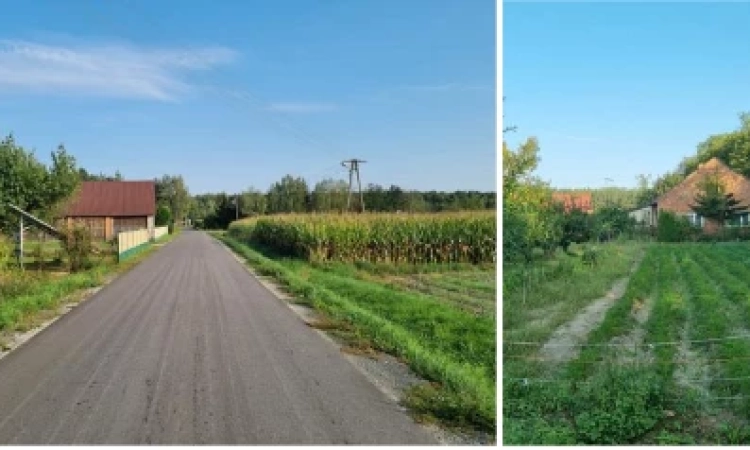 Syndyk sprzeda nieruchomość gruntową niezabudowaną GUCIN pastwiska | Zdjęcie główne