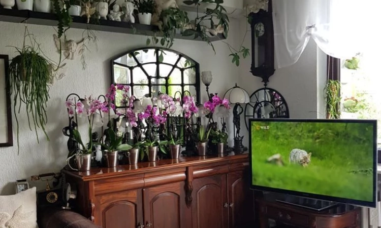 1pok, 33met, Okolice Lelewela BALKON/PIWNICA/PARKING (Wrocław) | Zdjęcie główne