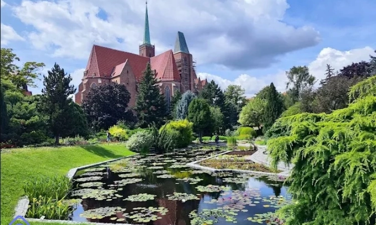 2pok, 35met, okolice Piaskowej ROZKŁAD/PIWNICA (Wrocław) | Zdjęcie główne