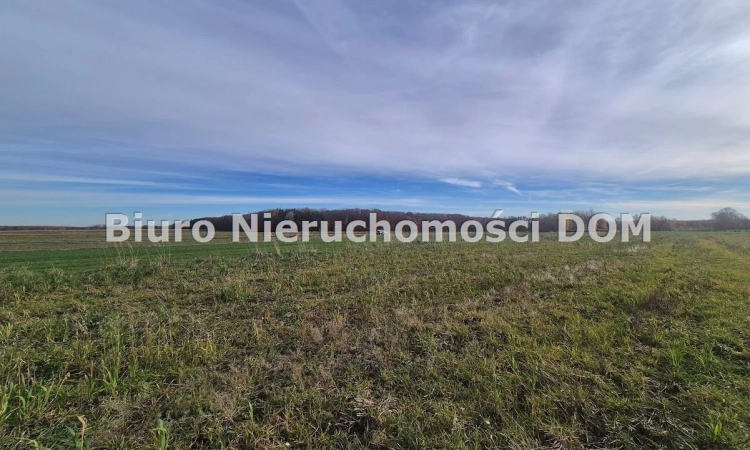 Działka rolna Łochynia w sąsiedztwie autostrady | Zdjęcie główne