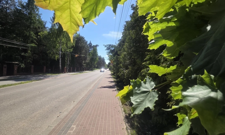 przy Duchnowskiej pod rezydencję lub dwa lokale | Zdjęcie główne